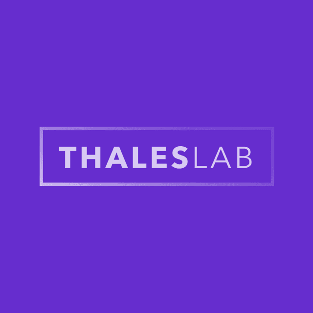 Logo THALESLAB